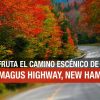 Kancamagus Highway: la ruta escénica que amarás
