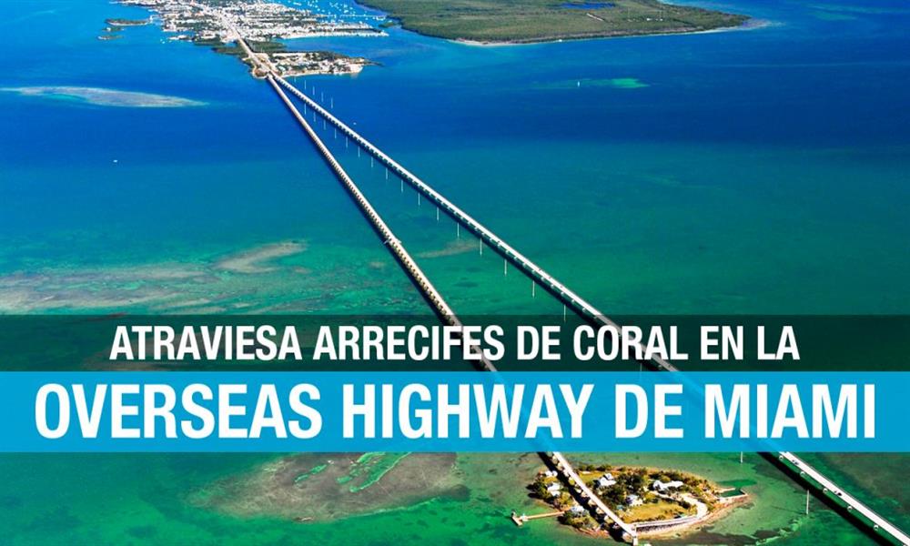 Qué hacer en Overseas Highway, Florida