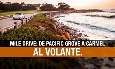 17 Mile Drive: la carretera que te fascinará en California