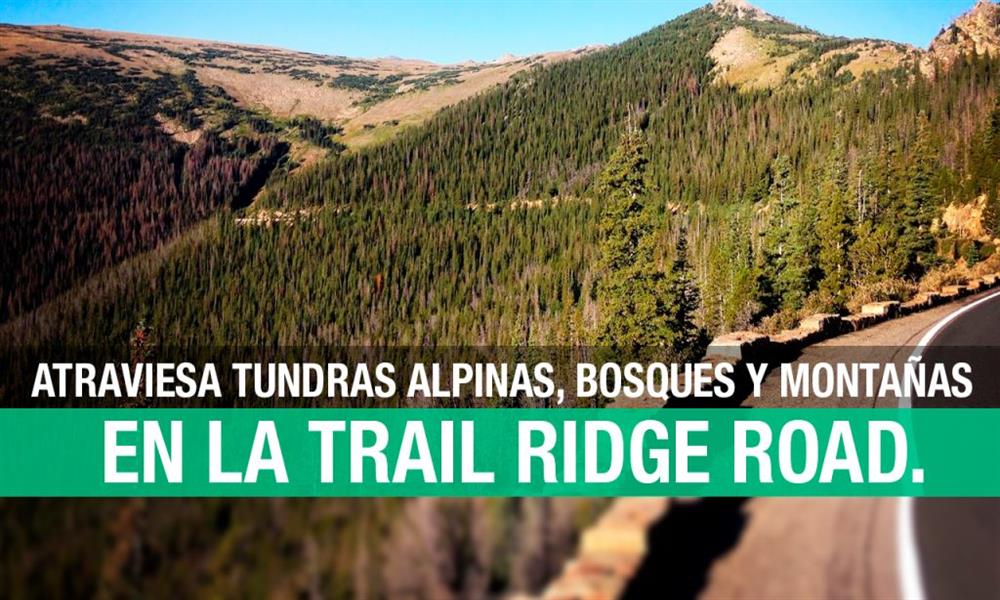 Trail Ridge Road, Colorado: a la altura de las montañas
