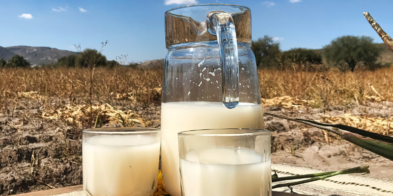 estado de mexico bebidas tradicionales