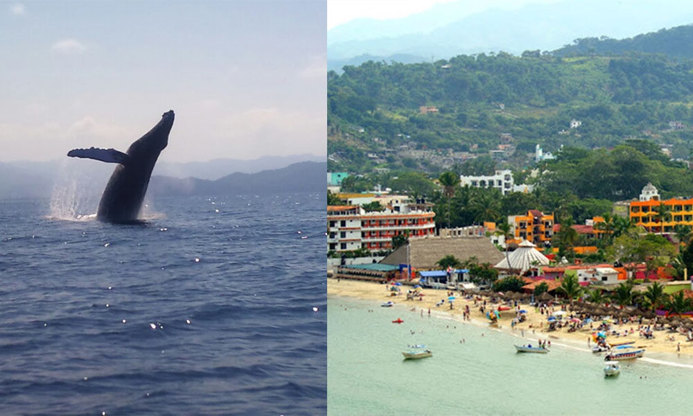 ¡Guía básica de Rincón de Guayabitos, Nayarit!