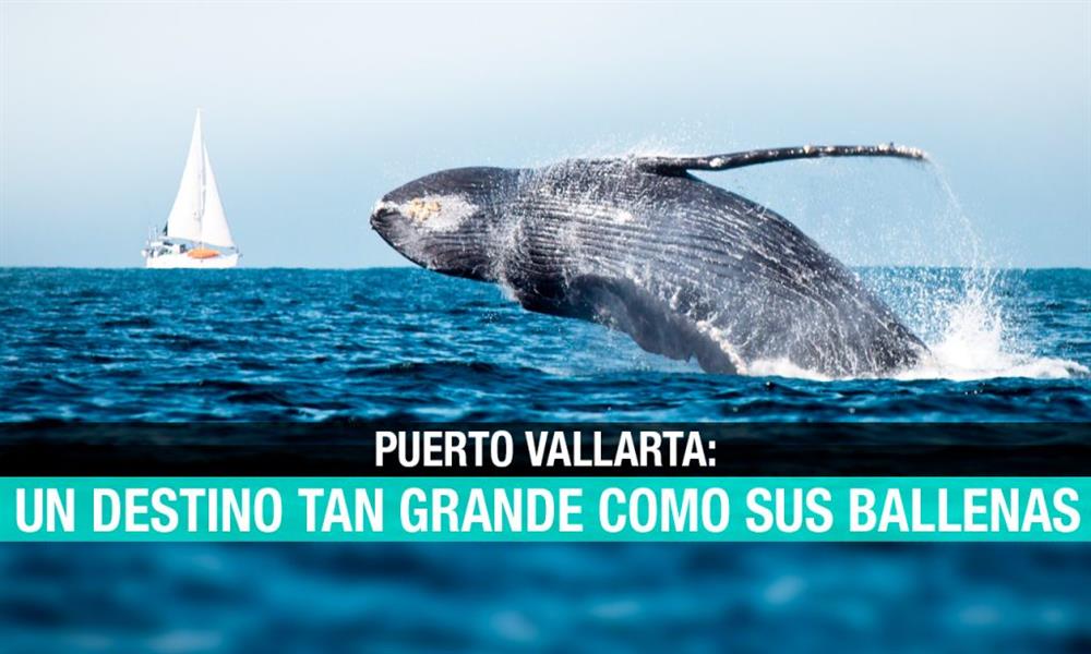 Puerto Vallarta: en destino tan grande como sus ballenas