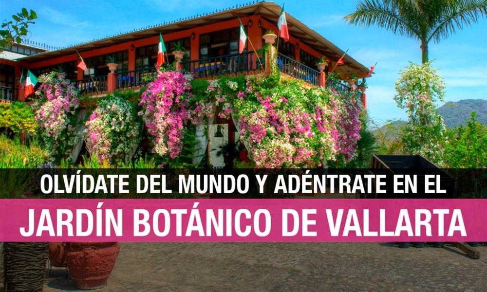 Jardín Botánico de Vallarta: un mundo de orquídeas