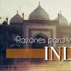 Razones para viajar a India