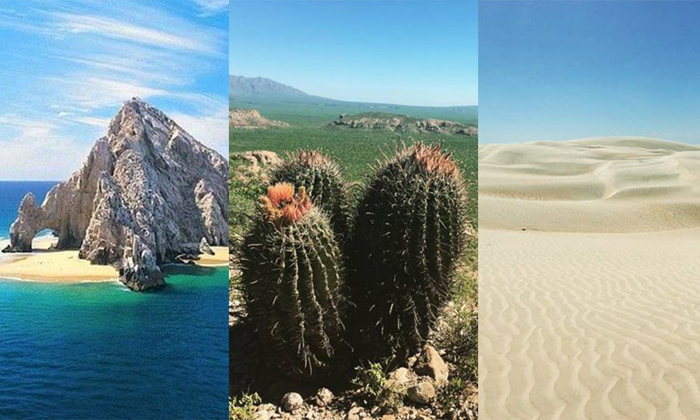 Top Ten imperdibles de Baja California Sur