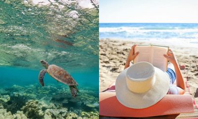 ¿Tienes 6 meses para disfrutar de la vida y vivir en Cancún?