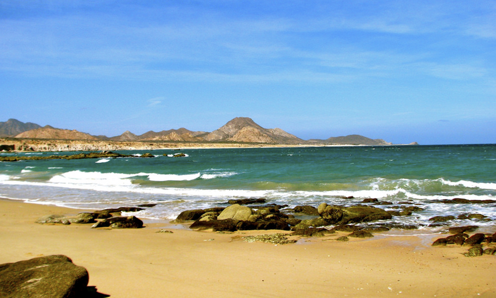 Cabo Pulmo: conoce lo que tienes que ver en este lugar