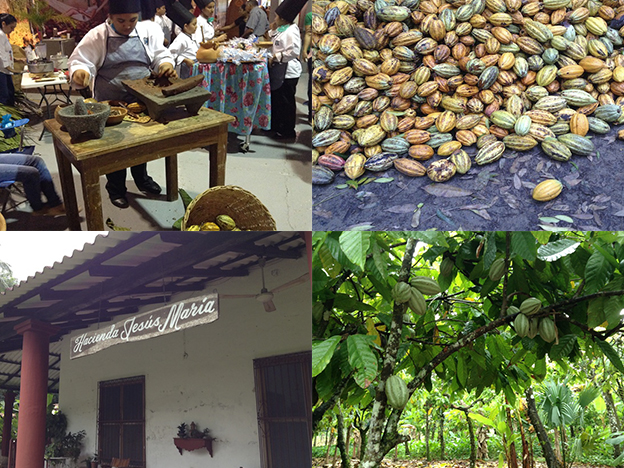 La ruta del Cacao: conoce los precios y por dónde es