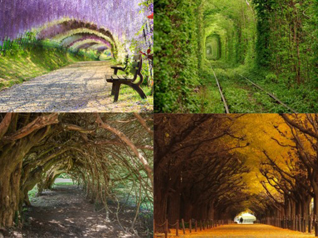 mejores-tuneles-romanticos-del-mundo