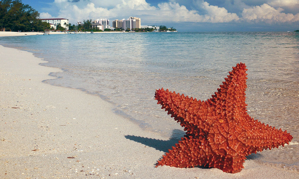 Nassau, Bahamas, aquí te decimos qué comer en este destino