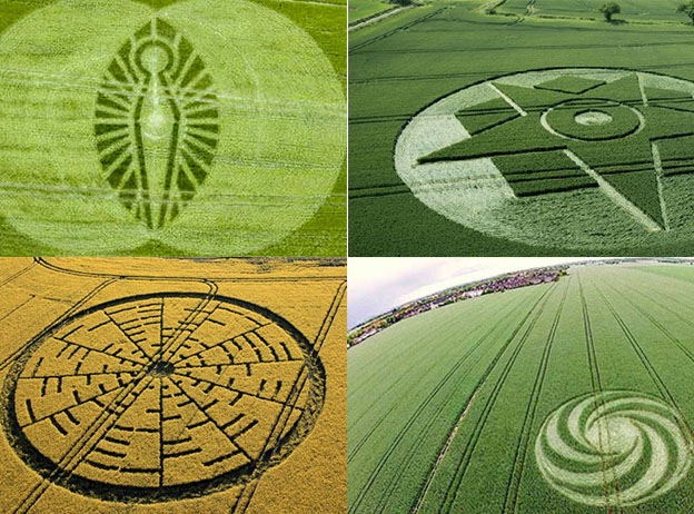 El misterio de los círculos en los campos de trigo, ¡sorprendente!