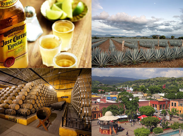 Datos curiosos del Pueblo Mágico de Tequila, Jalisco