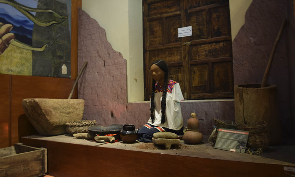Museo del café de Tuxtla Gutierréz: historia, salas y costo