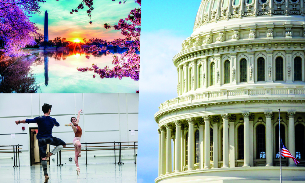 10 imperdibles culturales de Washington, D.C.