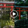 Parque Masayoshi Ohira: conoce un espacio de Japón en la CdMx