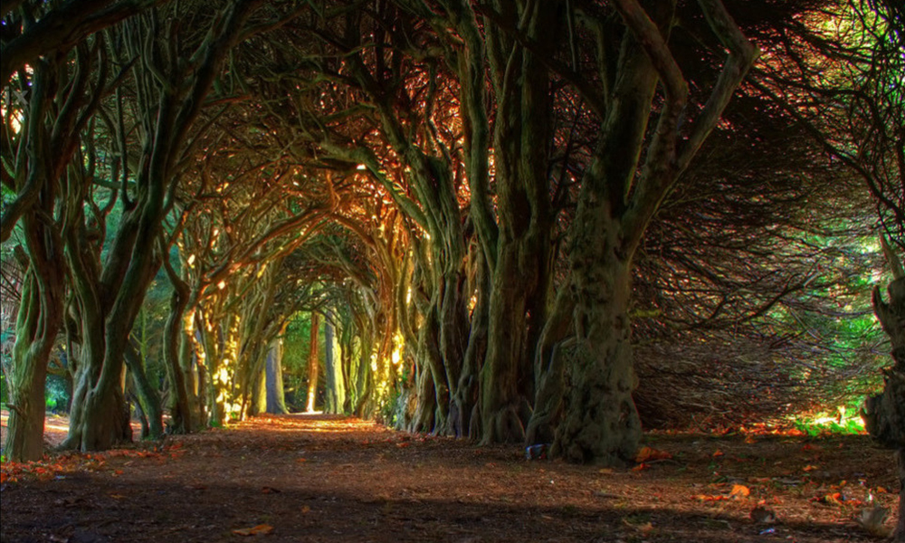 Irlanda: conoce cuáles son sus mejores lugares para visitar