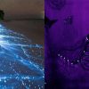 Las mejores playas bioluminscentes de México: checa cuáles son