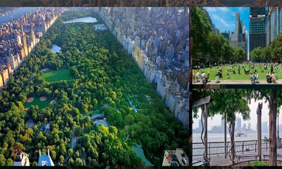 Nueva York: conoce sus parques famosos y más hermosos