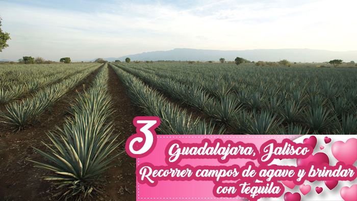 Campos de agave tequila jalisco ciudades romanticas mexico
