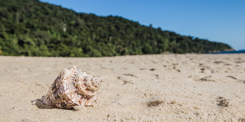 Playas mexicanas para viajar en Semana Santa