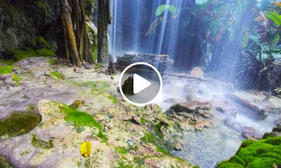 Grutas de Tolantongo cómo llegar precios y hospedaje