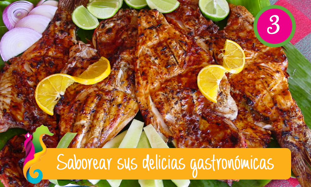qué hacer, qué ver y qué comer en puerto vallarta pescado embarazado qué hacer, qué ver y qué comer en puerto vallarta