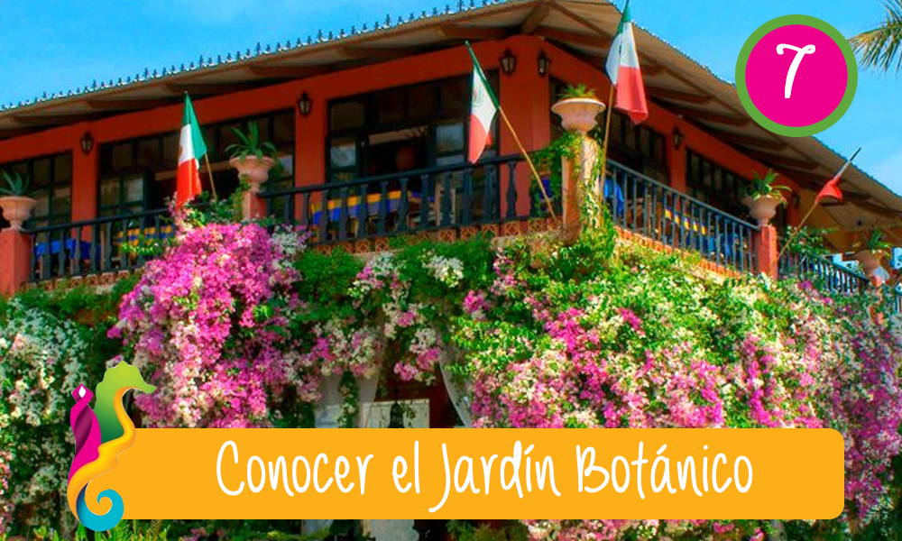 qué hacer, qué ver y qué comer en puerto vallarta jardin botanico qué hacer, qué ver y qué comer en puerto vallarta