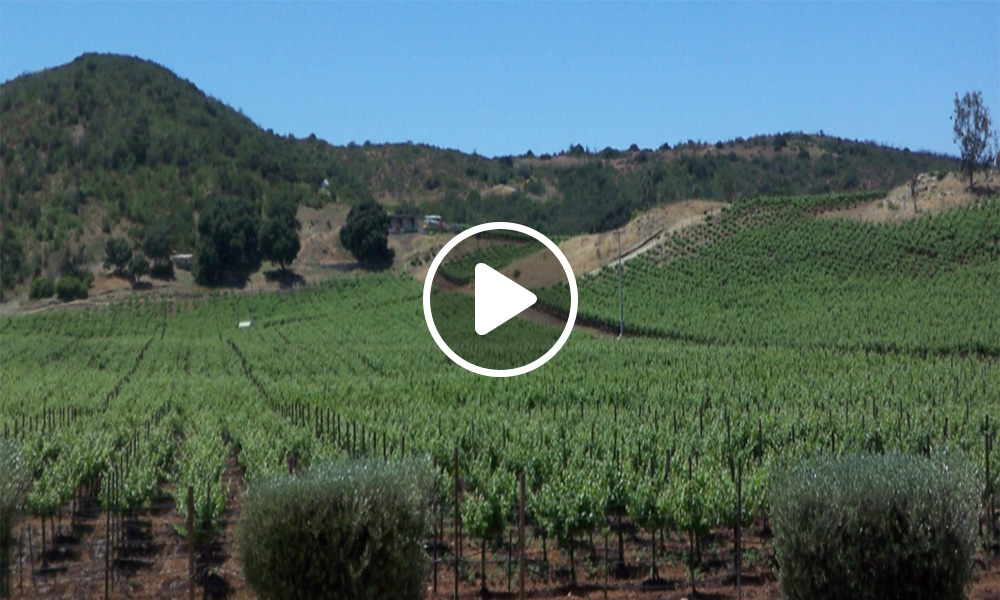 que hacer en Baja California