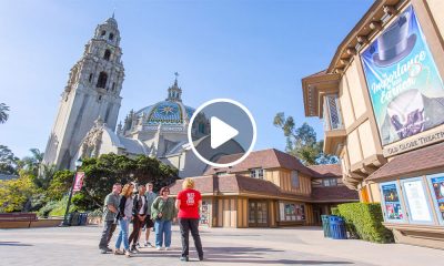 Qué hacer en San Diego, California, durante el verano