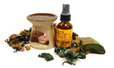 repelentes de mosquito-caseros-naturales