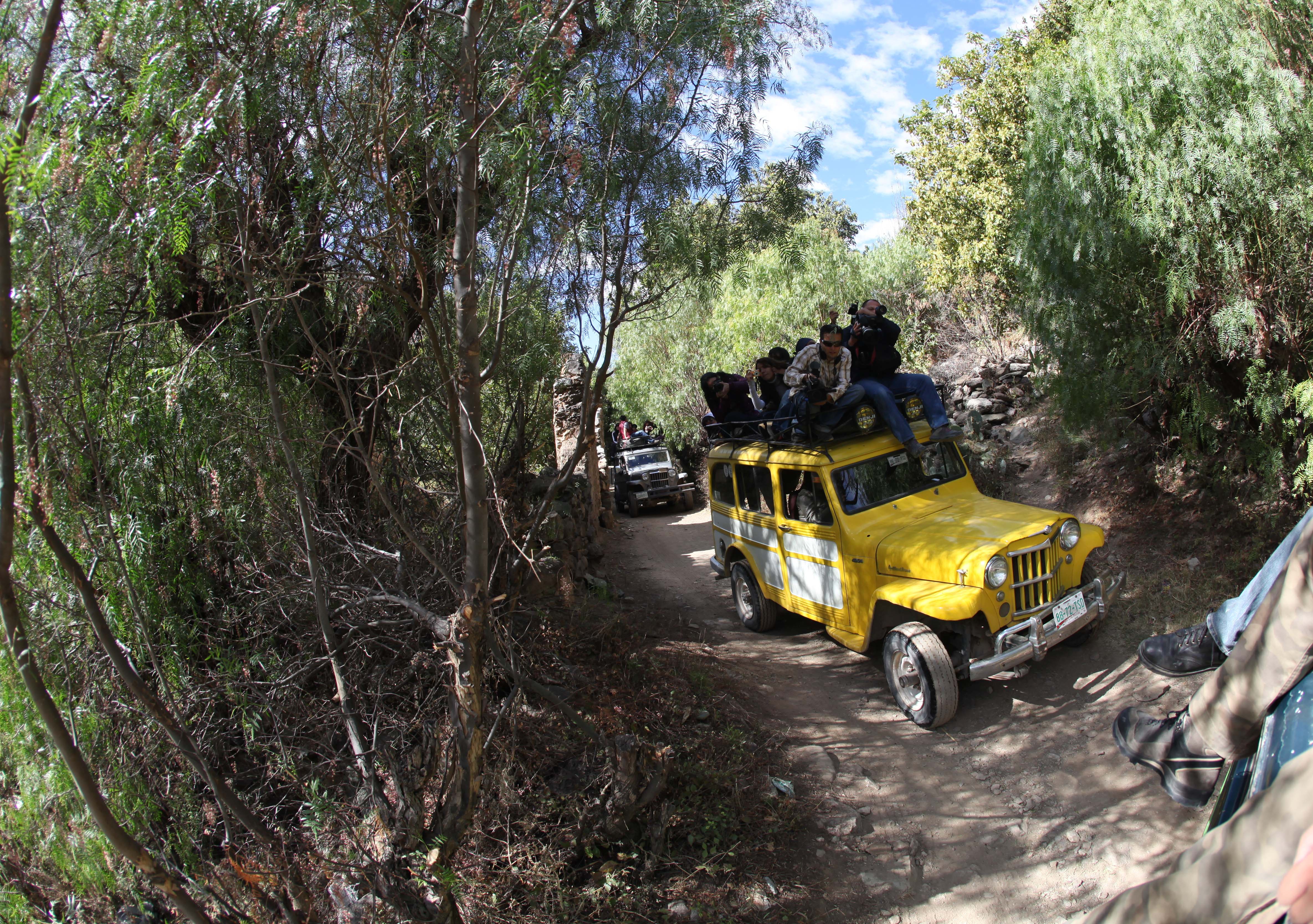 paseo en Willys 