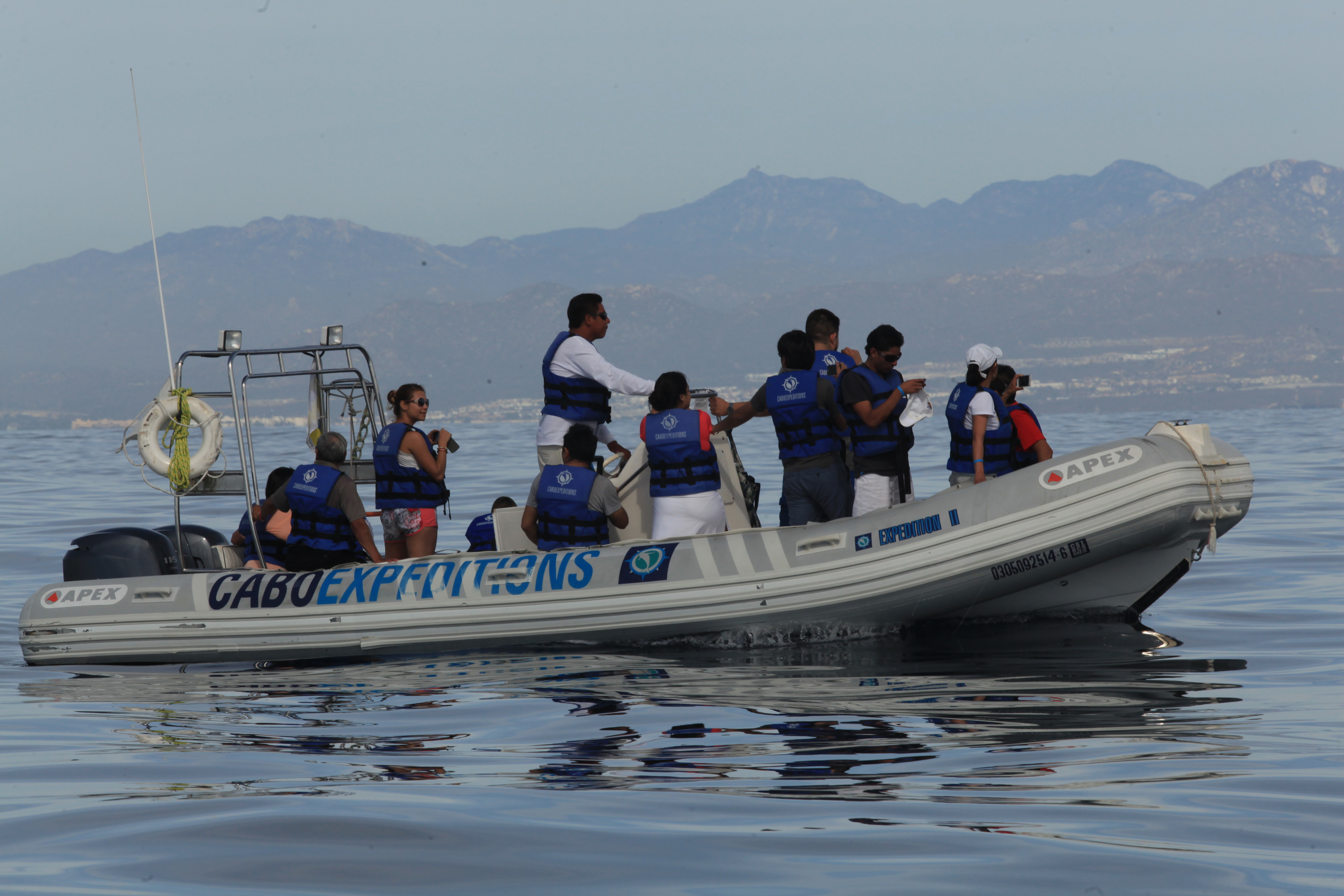 Cuanto Cuesta ver Ballenas en Los Cabos