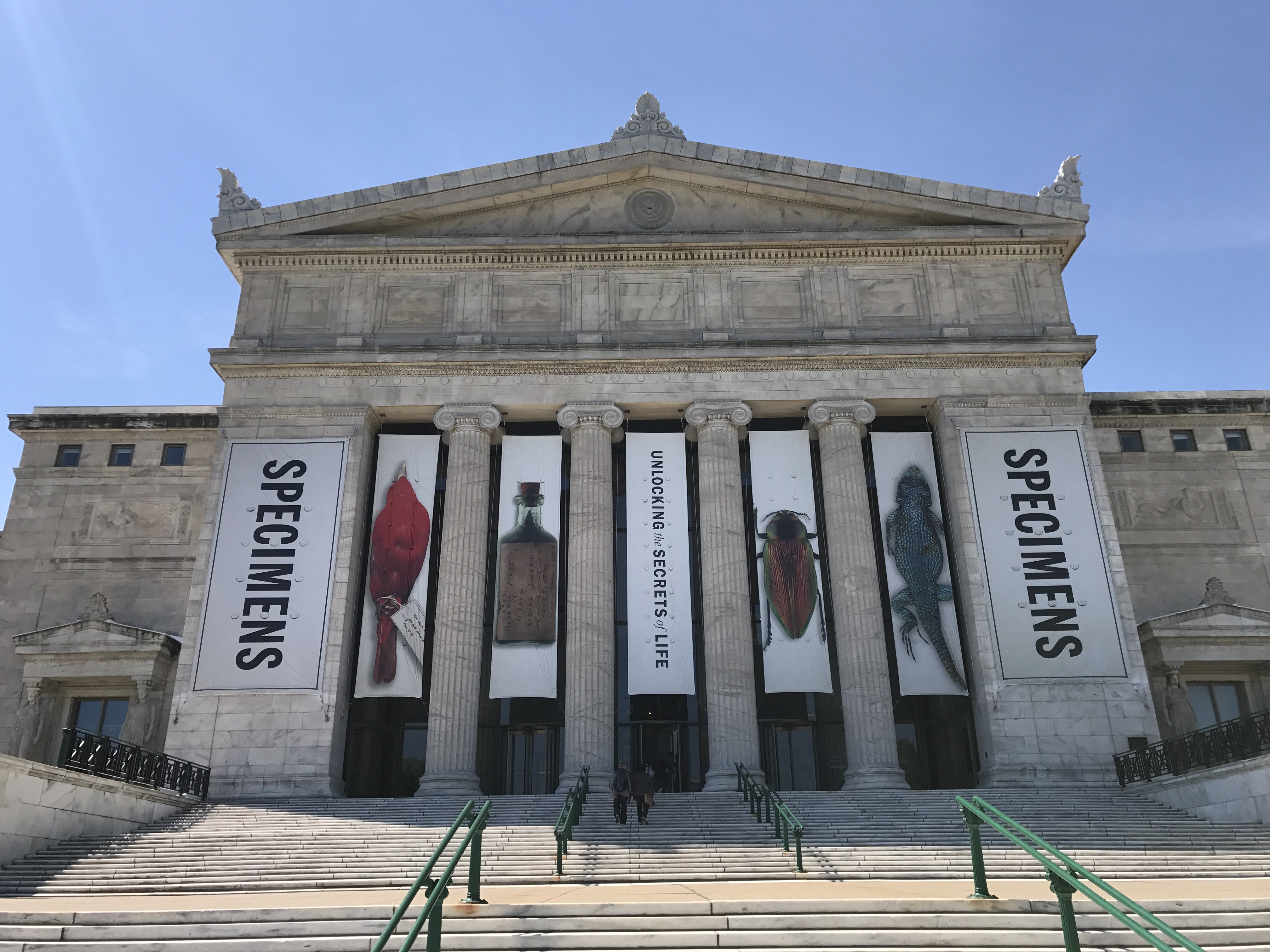 Qué hacer y qué visitar en Chicago museos