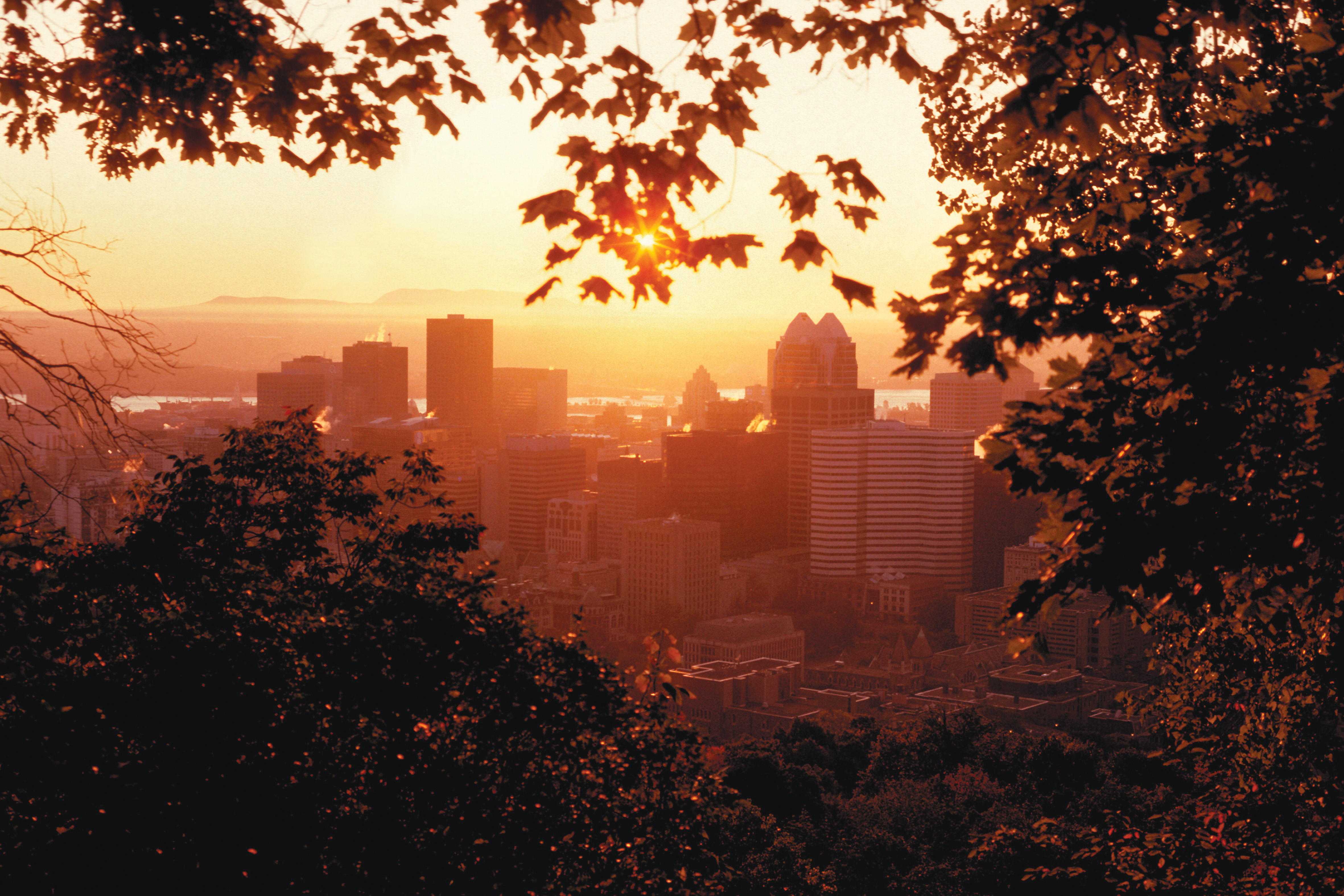 Qué ver en Montreal, modernidad o naturaleza skyline