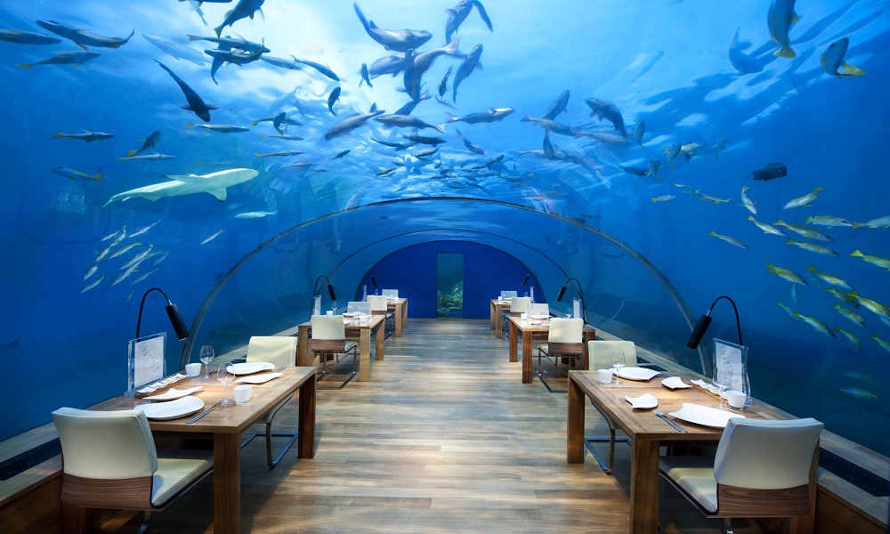 Restaurantes bajo el mar Ithaa Undersea Restaurant
