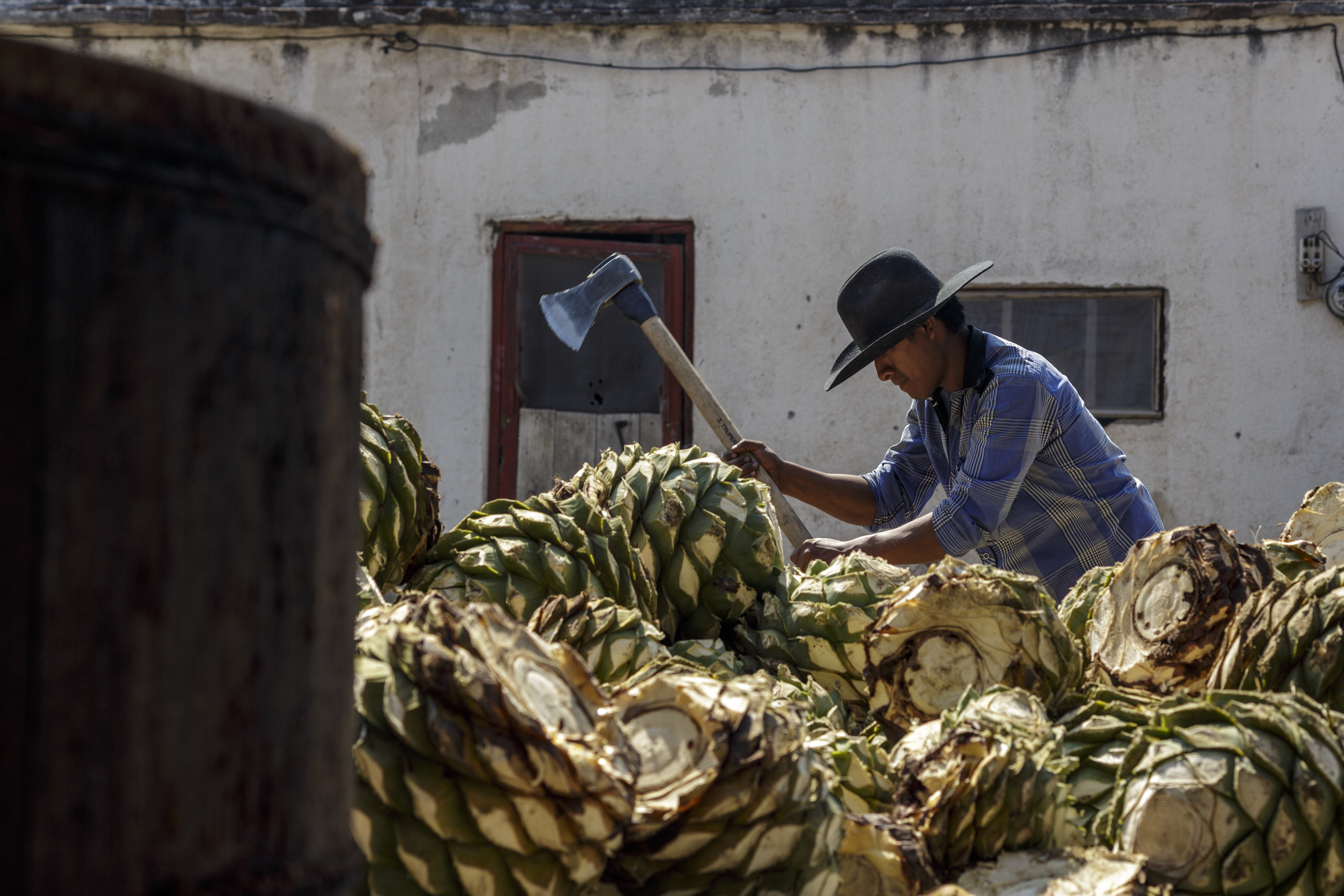 Rutas gastronómicas de México, mezcal