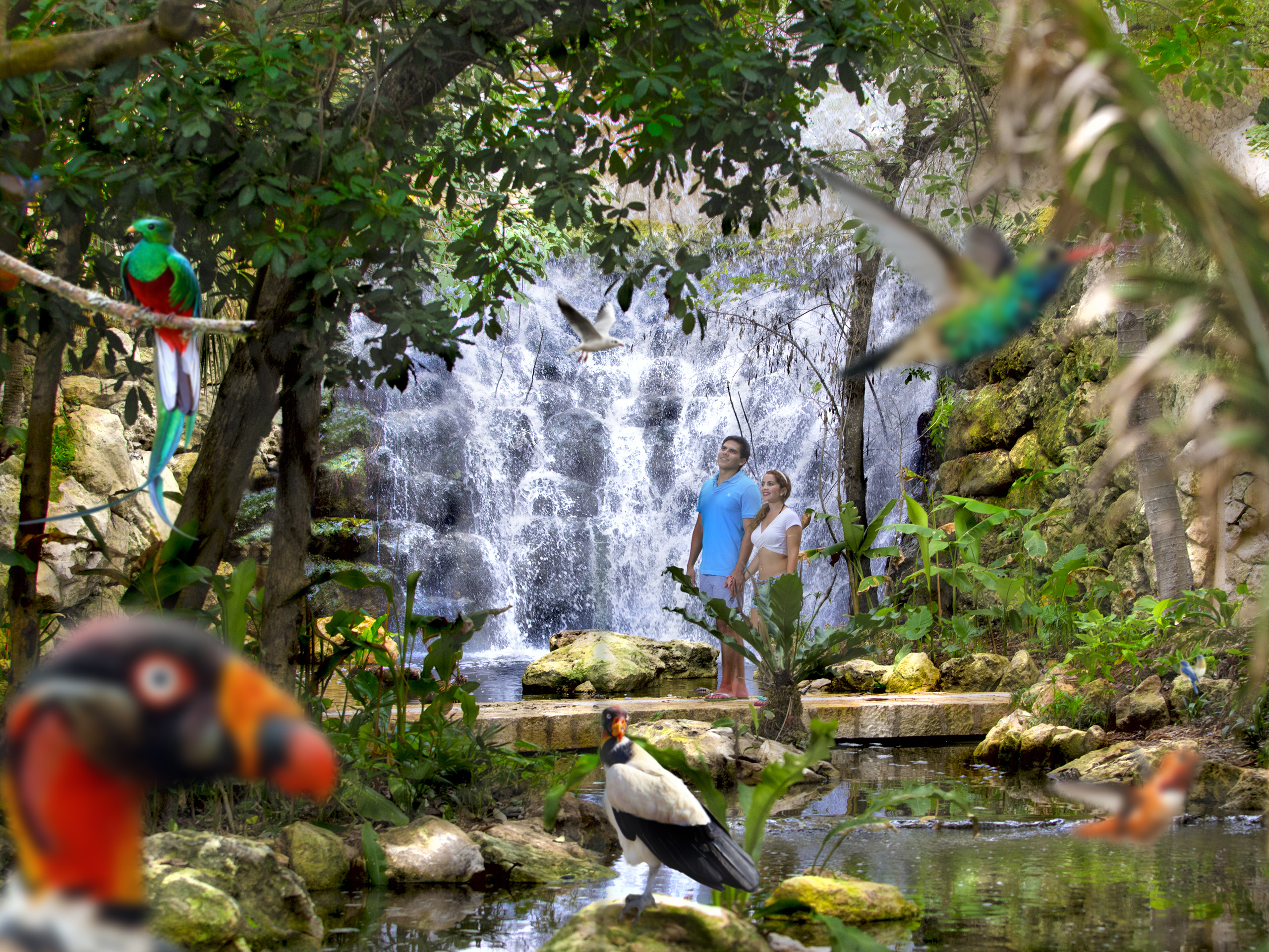 Xcaret, tradición y naturaleza aviario