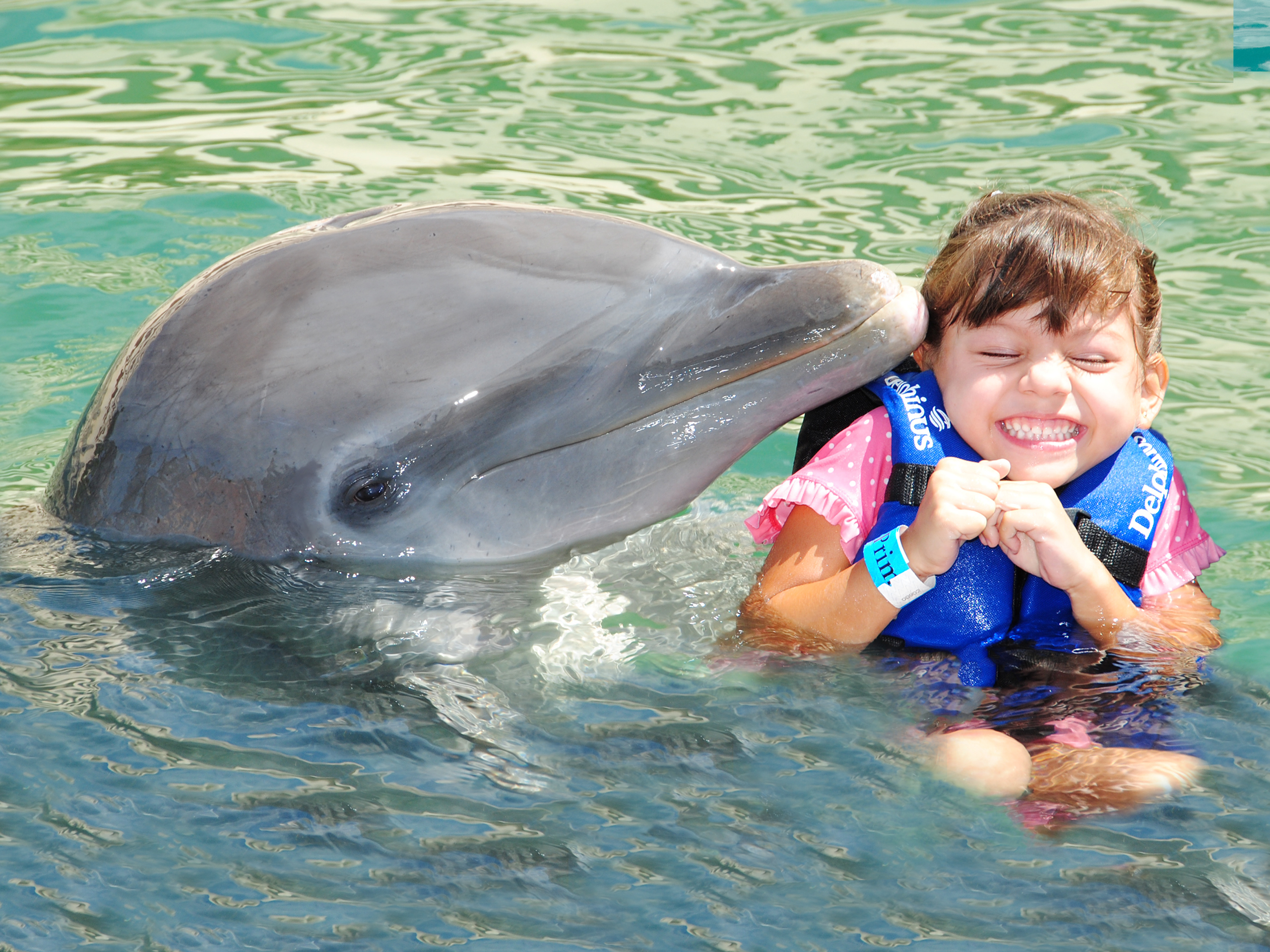 Xcaret, tradición y naturaleza show nado-delfines