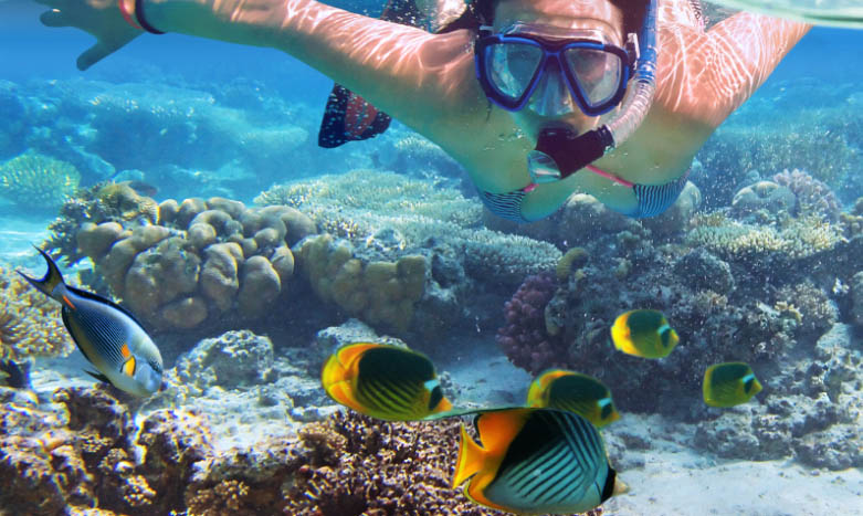 snorkel en Playa Linda