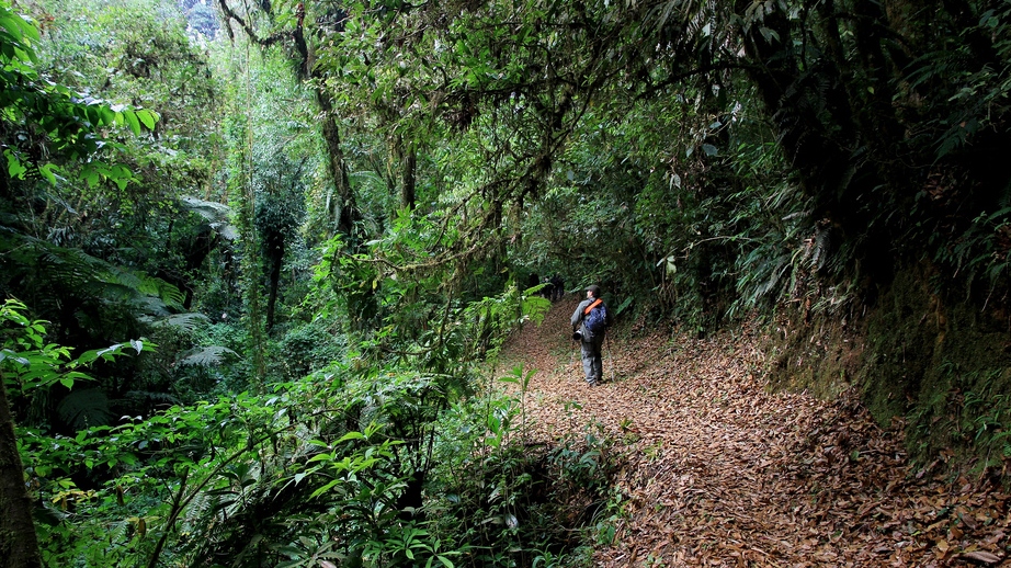 Chiapas es el destino más mágico del mundo
