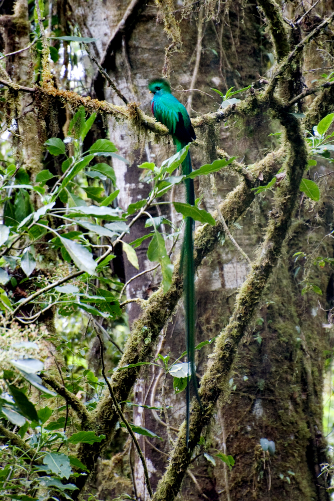 Chiapas es el destino más mágico del mundo