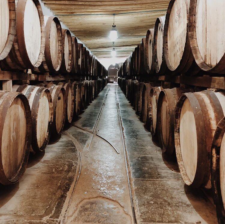 Las mejores fiestas de la vendimia en México Casa Madero