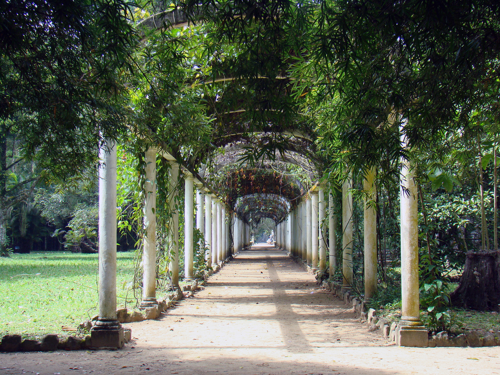 Los jardines más bellos del mundo Jardin Botanico Rio de Janeiro