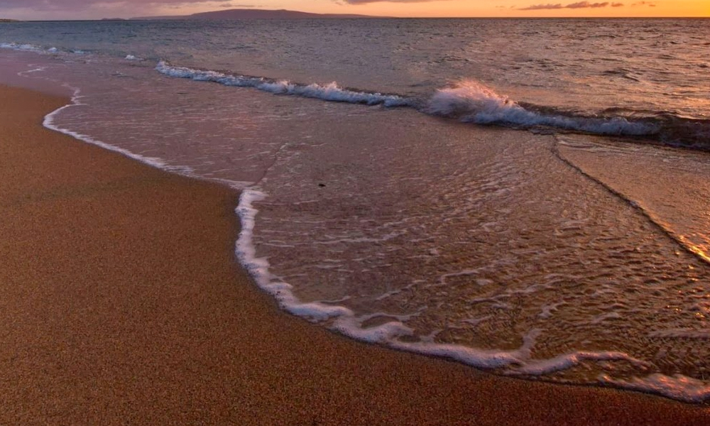 Qué-hacer-en-Los-Mochis-Sinaloa-playa-maviri