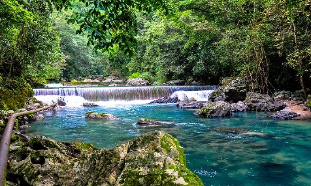 Reserva de la Biosfera El Cielo, edén tamaulipeco