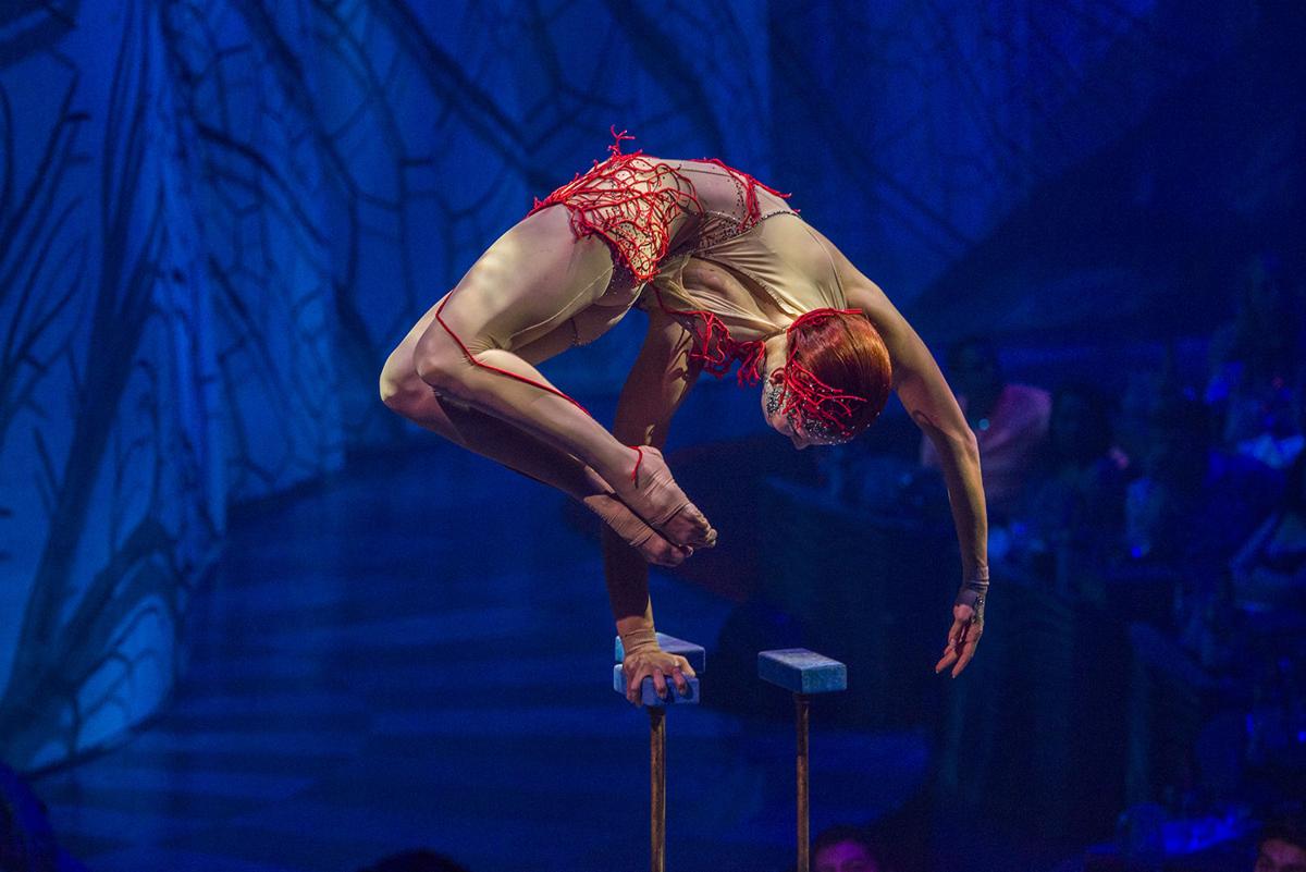 qué hacer en riviera Maya cierque du soleil