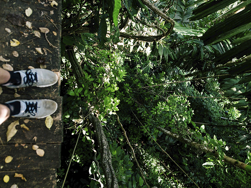 los mejores destinos para viajar con niños