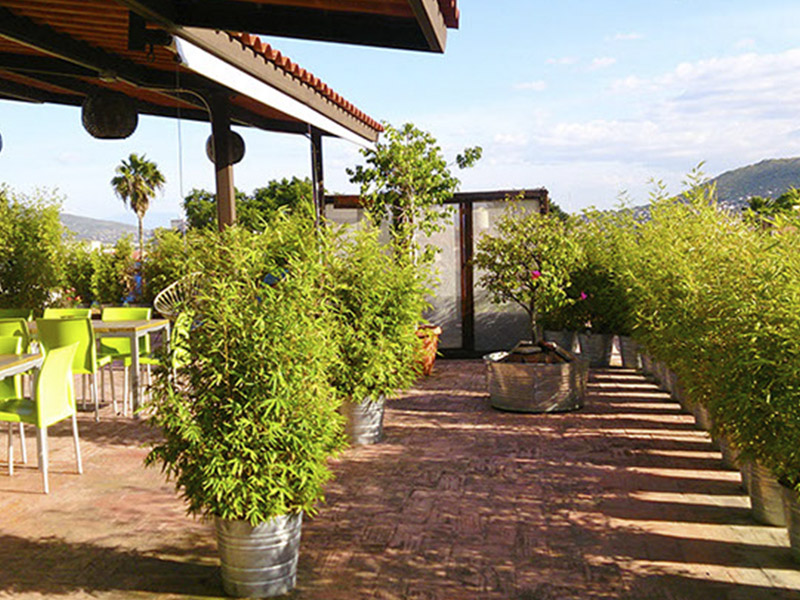 mejores hostales de México