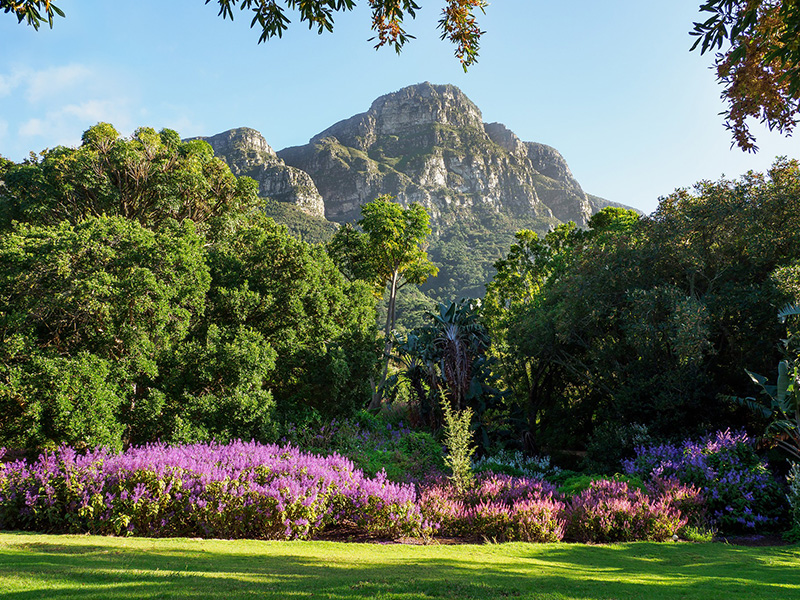 Qué ver y qué hacer Ciudad del Cabo